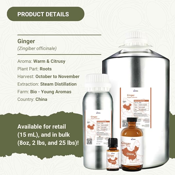 Ginger Essential Oil - Direct from Bio-Young Aromas - Pure Ginger Oil for Skin - Aceite de Jengibre - Aromatherapy 100% Therapeutic Premium Grade (8oz)