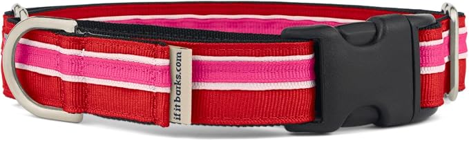 If It Barks 1" Martingale Collar with Quick Snap Release Buckle, Adjustable, USA Made, Medium, Shortcake