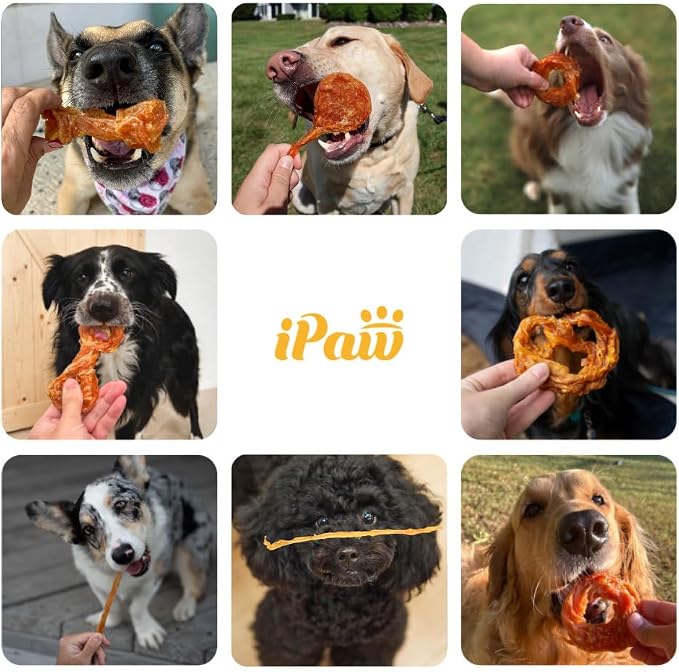 iPaw Turkey Tendon for Dogs Value Pack, SQF-Certified Production Process | Strips (3 Packs), Single Protein, Hypoallergenic, Grain free, Rawhide Alternative Dog Treats, US-Sourced Turkey