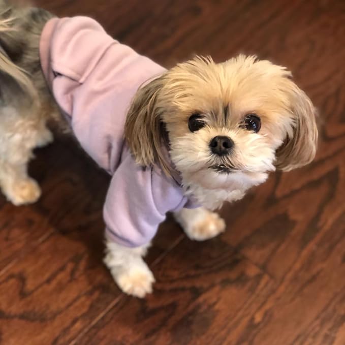 Soft Dog Hoodies for Small Dogs, Warm Fleece Puppy Clothes with Pocket | Jecikelon cold weather coat, cute puppy costume, breathable sweatshirt for dogs girl & boy, machine washable, easy on & off
