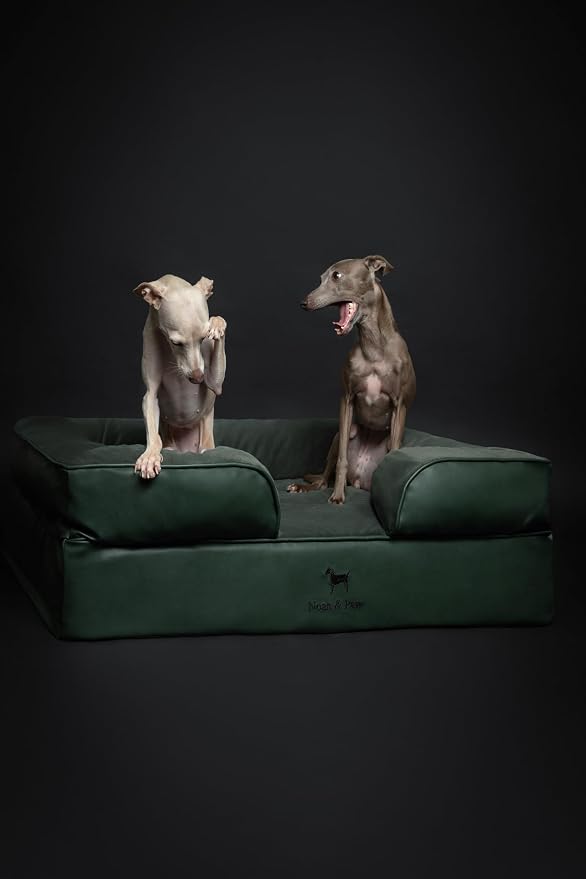 NOAH & PAW Large Dog Bed, 35x25x11 Inch, Orthopedic Dog Beds, Eggshell Memory Foam Infused with Cooling Gel, Inner Cover, Water Resistant, Machine Washable (Faux Leather)