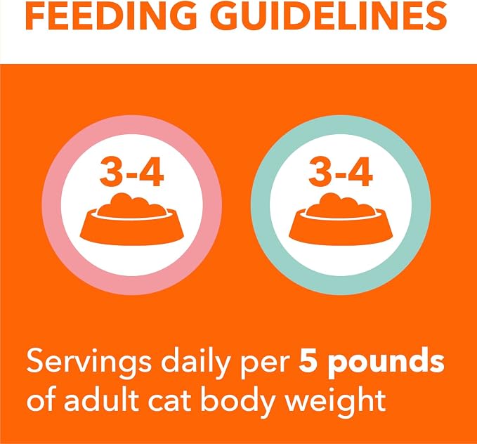 IAMS Perfect Portions Healthy Adult Pate Wet Cat Food, Variety, 24 Count | Grain-free, Omega 6 & 3 Fatty Acids for skin & coat, prebiotics & beet pulp, Vitamin E immune support, 2.6 oz twin-pack trays