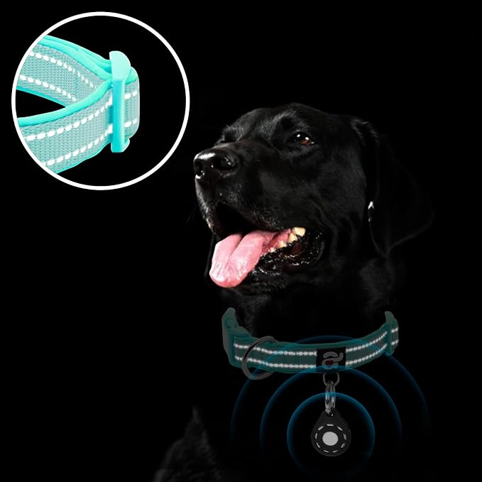 azuza Airtag Dog Collar, Puppy Collar with Airtag Holder, Teal, XS
