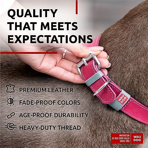 WAUDOG Long Lasting Leather Dog Collar for Large Dogs, Medium & Small Dogs - Adjustable Classic Puppy Collars for Large Breed Dogs - Boy & Girl Dog Collars with Durable Buckle, D-Ring & QR Dog Tag