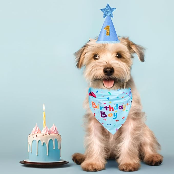 Dog Birthday Party Supplies,Dog Birthday Bandana,Dog Birthday Hat | Dog Birthday Decorations,Dog Boy Girl Birthday Party Hat with Numbers for Large Medium Small Dogs Pet (Blue),Soft,Breathable