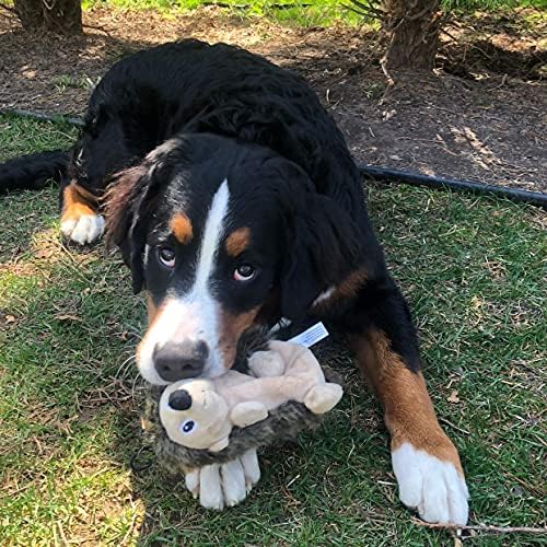 SmartPetLove Snuggle Puppy Tender-Tuffs Crinkle Dog Toy, Plush Hedgehog