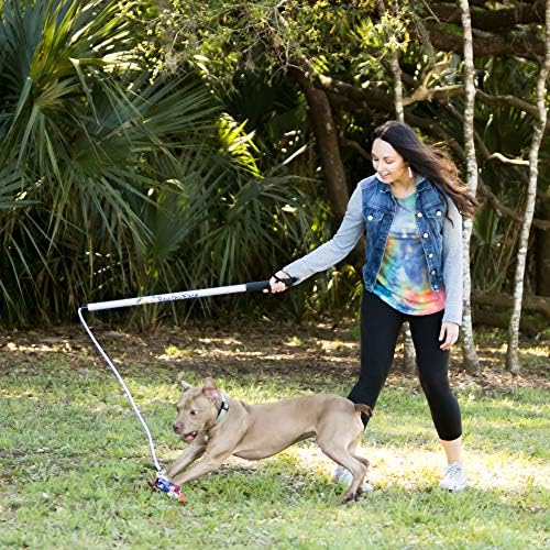 Squishy Face Studio Flirt Pole V2 with Lure - Durable Dog Toy for Fun Obedience Training & Exercise, Rainbow Tie Dye, Regular - 36 inch for All Breed Sizes