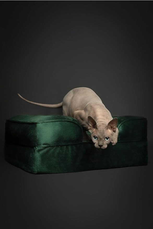 NOAH & PAW Small Dog Bed, 20x15x8 Inch, Cat Bed for Indoor Cats, Orthopedic Eggshell Memory Foam Infused with Cooling Gel, Water Resistant Inner Cover Machine Washable (Velvet Collection)