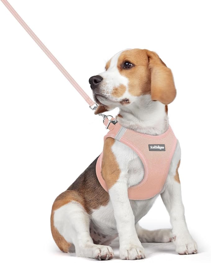 rabbitgoo Dog Harness Medium Sized and Leash Set, Step-in Puppy Pet Vest | Light, Soft, Breathable Air Mesh, Easy on and Remove with Hook & Loop, Secure Reflective for Walking, Pink L