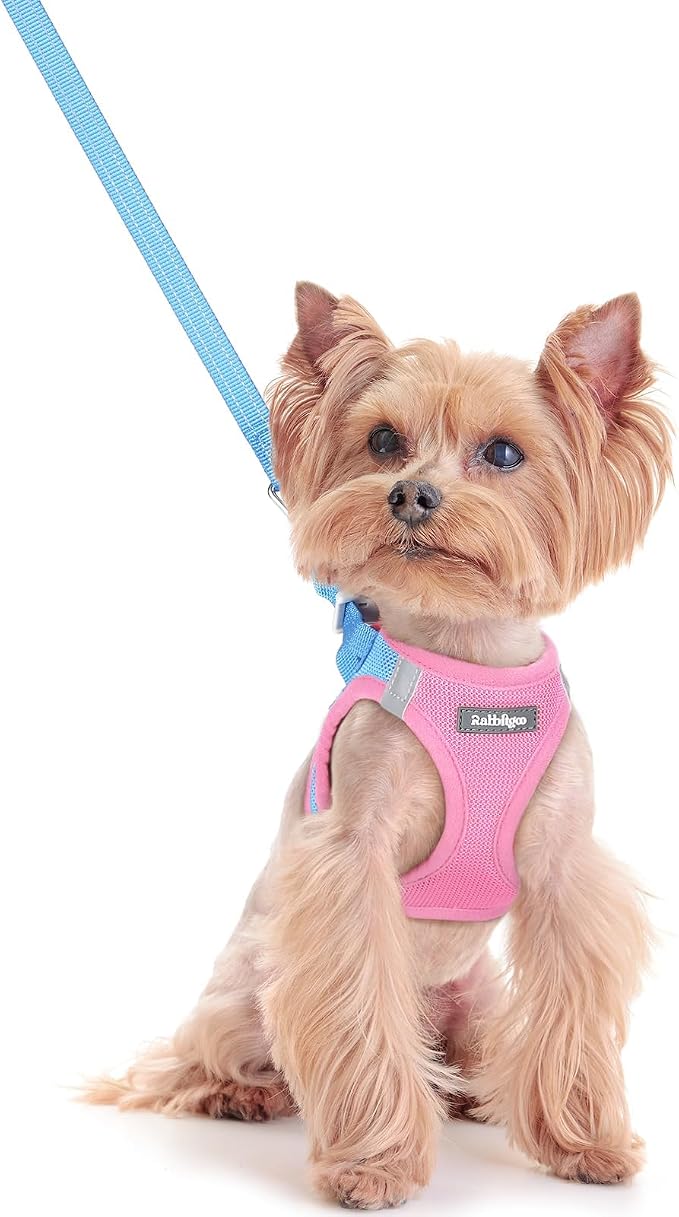 rabbitgoo Dog Harness Small Sized and Leash Set, Step-in Puppy Pet Vest | Light, Soft, Breathable Air Mesh, Easy on and Remove with Hook & Loop, Secure Reflective for Walking, Blue & Light Pink XXS
