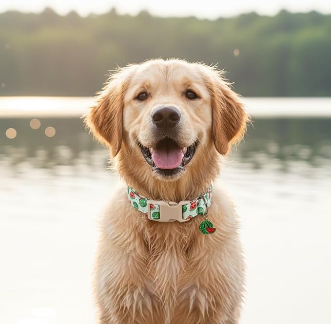 Dog Collar for Small Dogs, Summer Dog Collar with Watermelon Print and Charm, Adjustable Pet Collar for Girl Boy Dogs