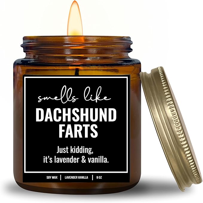 You Nique Designs, Dachshund Candle, 9 Oz, Dachshund Gifts for Women, Weiner Dog Gifts, Daschund, Wiener Dog, Daushaund, Dashound, All Natural Soy Vegan Aromatherapy Candles (Lavender & Vanilla A)