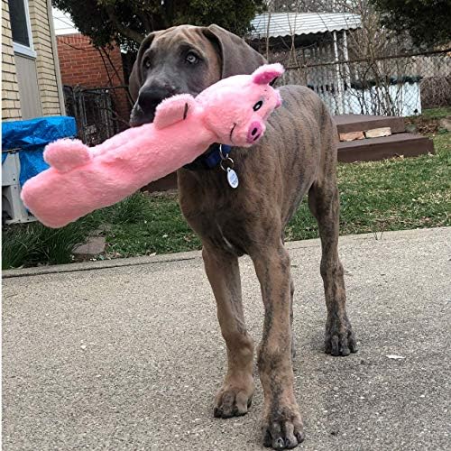 Snuggle Puppy Tender-Tuffs Bottle Cruncher Dog Toy, Squeaky Pig