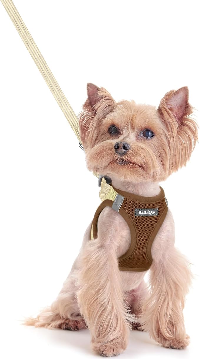 rabbitgoo Dog Harness Small Sized and Leash Set, Step-in Puppy Pet Vest | Light, Soft, Breathable Air Mesh, Easy on and Remove with Hook & Loop, Secure Reflective for Walking, Brown & Beige XXS