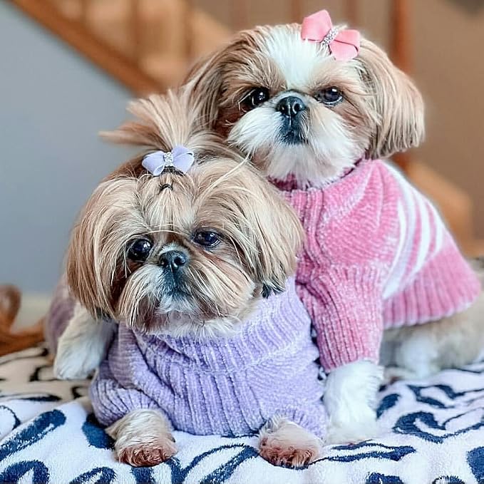 Blueberry Pet Cozy Soft Chenille Classy Striped Dog Sweater in Dusty Rose, Back Length 14", Pink Clothes for Dogs