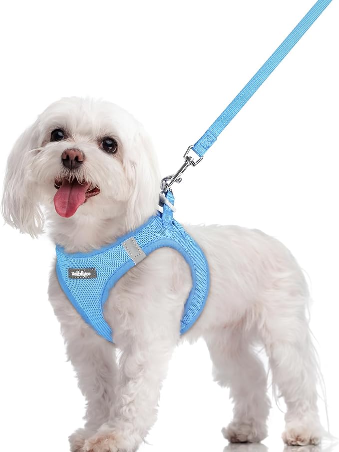 rabbitgoo Dog Harness Small Sized and Leash Set, Step-in Puppy Pet Vest | Light, Soft, Breathable Air Mesh, Easy on and Remove with Hook & Loop, Secure Reflective for Walking, Blue M