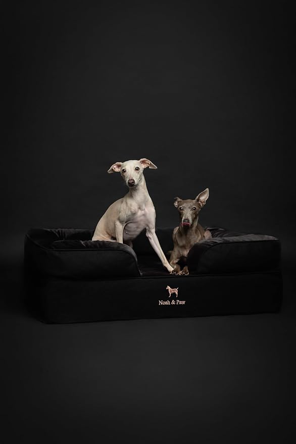NOAH & PAW Large Dog Bed, 35x25x11 Inch, Orthopedic Dog Beds, Eggshell Memory Foam Infused with Cooling Gel, Inner Cover, Water Resistant, Machine Washable (Denim Sofa Collection)