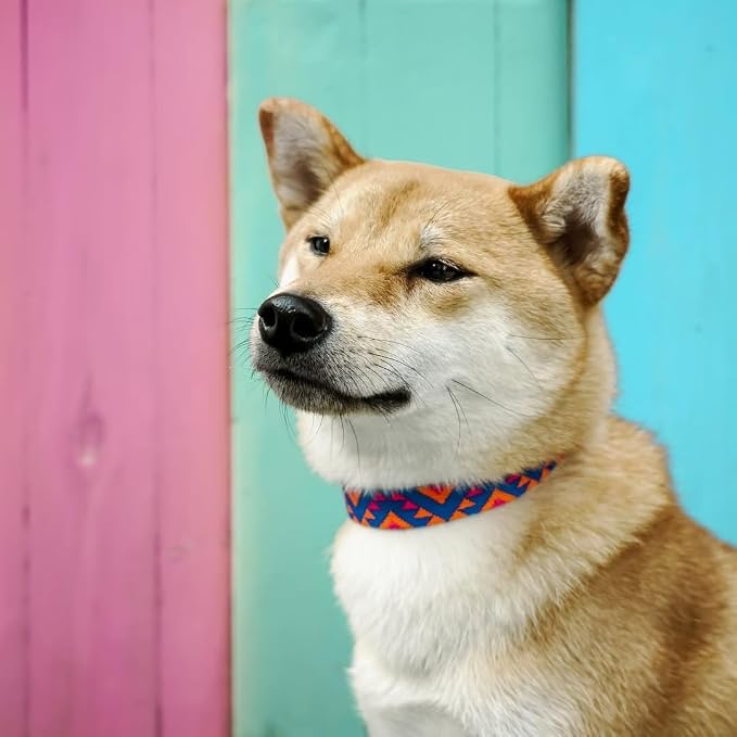 Blueberry Pet Southwestern Tribal Triangles Navy Blue Adjustable Dog Collar with Metal Buckle, Neck 13-16.5", for Medium Breed