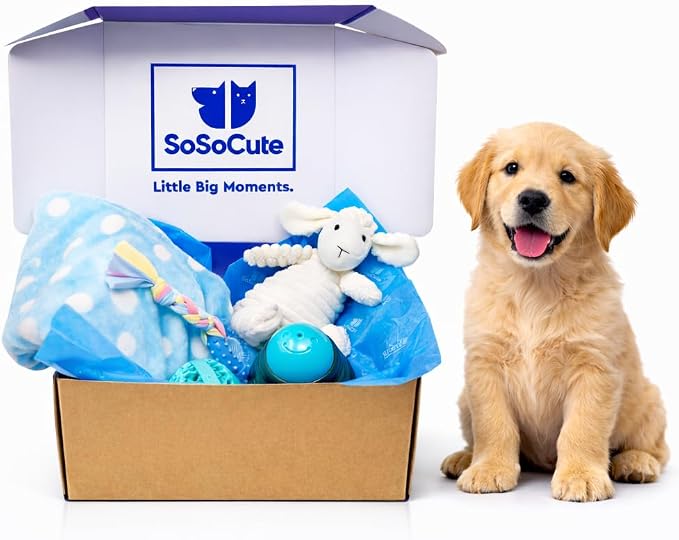 Puppy Starter Kit – 5pc Dog Toy Gift Set for Small Dogs – New Puppy Essentials Gift Box with Blanket, Squeaky Plush, Teething Ring, Treat Ball & Chew Ball (Blue)