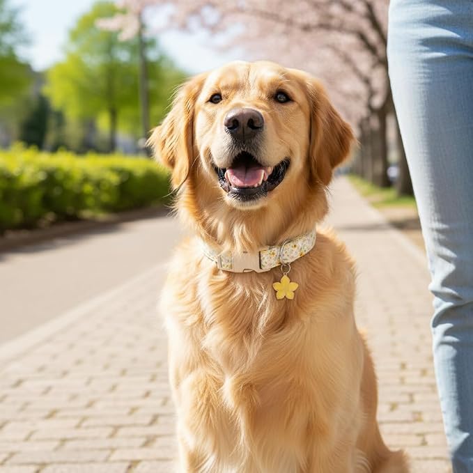 Dog Collar, Unique Floral Dog Collar Girl, Spring Summer Design Pet Collar with Cute Charm, Quick Release Buckle and Durable Fabric, Suitable for Small, Medium and Large Dogs