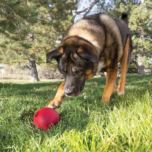 KONG Ball with Hole, Natural Rubber Fetch Toy, Red, for Large/X-Large Dogs