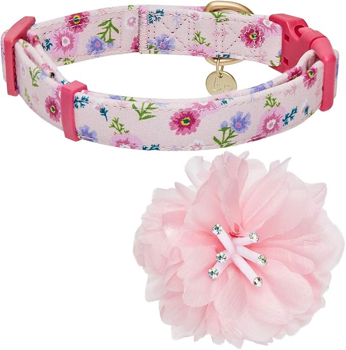 Blueberry Pet Floral Power Cosmos Designer Pink Adjustable Dog Collar with Detachable Pink Peony, Small, Neck 12"-16"