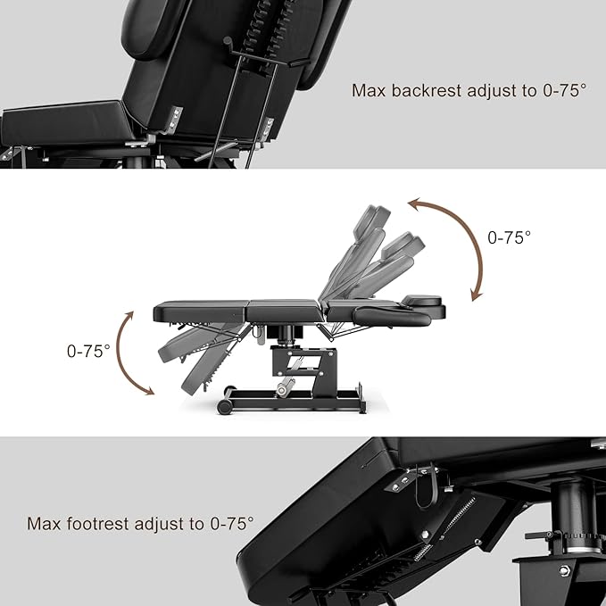 Paddie 360° Swivel Electric Height Adjustable Tattoo Spa Chair for Client, Professional Facial Esthetician Bed with Storage Pocket/2 Wheels, Headrest/Armrest Adjustable, Black