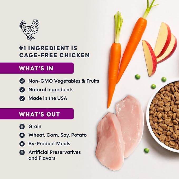 Instinct Original Kitten Dry Food, Raw Coated, Real Chicken, 4.5 lb. Bag | Raw-coated kibble with cage-free chicken, high animal protein, DHA, probiotics, and omegas to support growing kittens