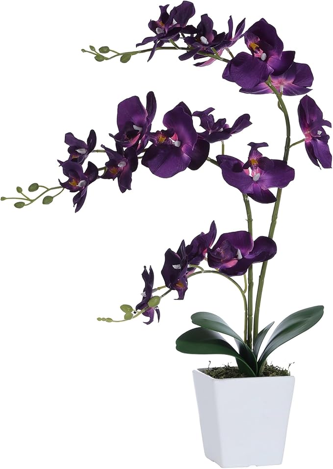 22" Dark Purple Faux Orchid in Ceramic Vase for Table Décor | Real Look Potted Phalaenopsis, Ideal Centerpiece for Home, Office, or Indoor Display, Lifelike Silk Flowers, No Maintenance