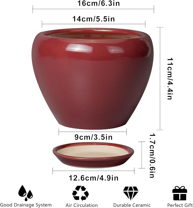 Ceramicfor Ceramic Pot for Plants - 6 Inch Plant Pot Indoor with Drainage Hole and Saucer Succulent Outdoor Planter Round Flower Pot for House Patio Decor Red