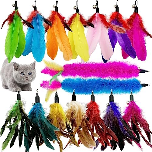 Cat Feather Toys Refill, 16 Pieces Cat Wand Replacement Feathers Toy for Indoor Cats