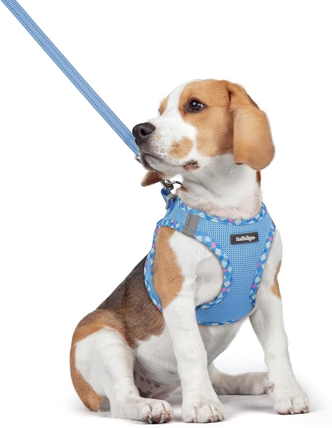 rabbitgoo Dog Harness Medium Sized and Leash Set, Step-in Puppy Pet Vest | Light, Soft, Breathable Air Mesh, Easy on and Remove with Hook & Loop, Secure Reflective for Walking, Blue & Plaid Trim L