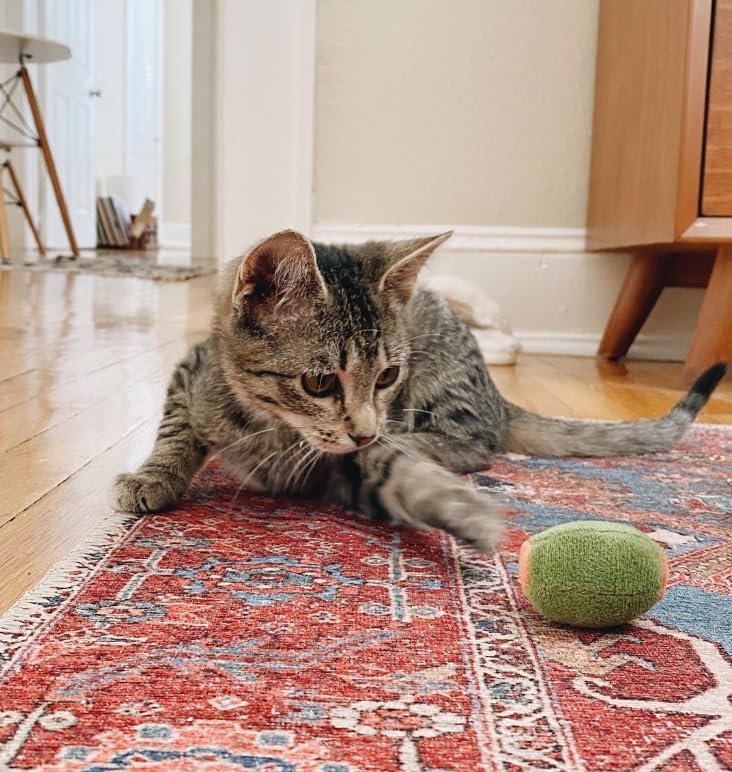 munchiecat Olive Cat Toy Set - 2-Piece Organic Catnip Toys with Soft Rattle, Perfect for Batting & Rolling - Designed for Cats, Ideal Gift for Cat Lovers