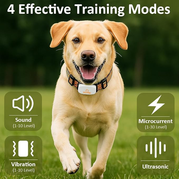 Adjustable Shock Levels Dog Training Collar with 9.8 FT Retractable Leash – Remote E-Collar for 2 Dogs, 3200 FT Range, Color Screen, Beep Vibration Static, IP67 Waterproof, USB-C Rechargeable