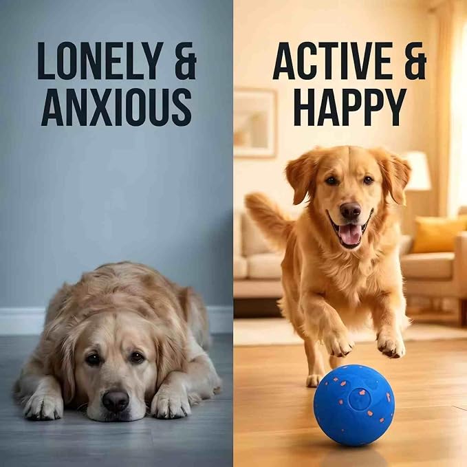 Smart Interactive Dog Bouncing Ball, Automatic Moving Dog Ball