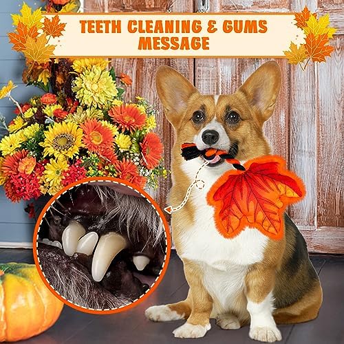 Thanksgiving Dog Toy, Squeaky Maple Leaf Rope Toy for Small Dogs