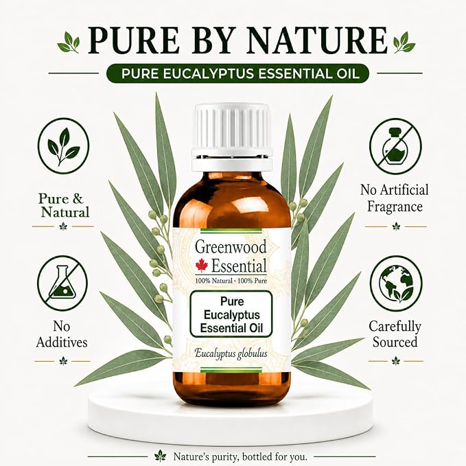 Greenwood Essential Eucalyptus Essential Oil (Eucalyptus globulus) Pure | Non-Sticky | Non-Greasy | Lightweight | Men & Women | All Skin Types | Steam Distilled 30ml (1 oz)