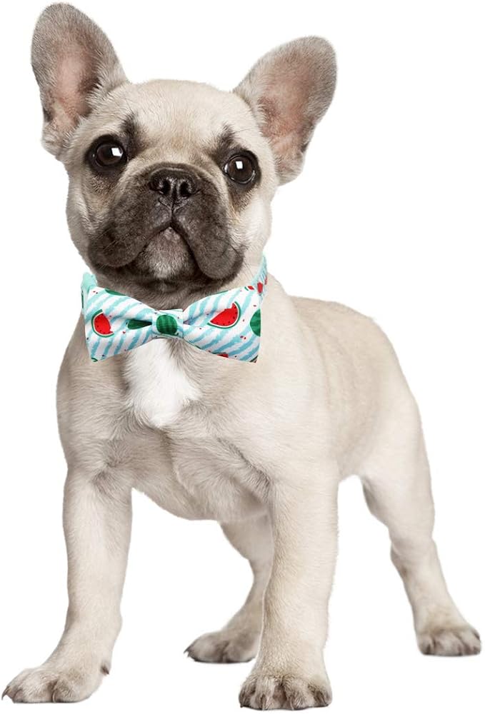 azuza Bowtie Dog Collar, Stylish and Comfy Watermelon Dog Collar with Bow Tie for Large Dogs