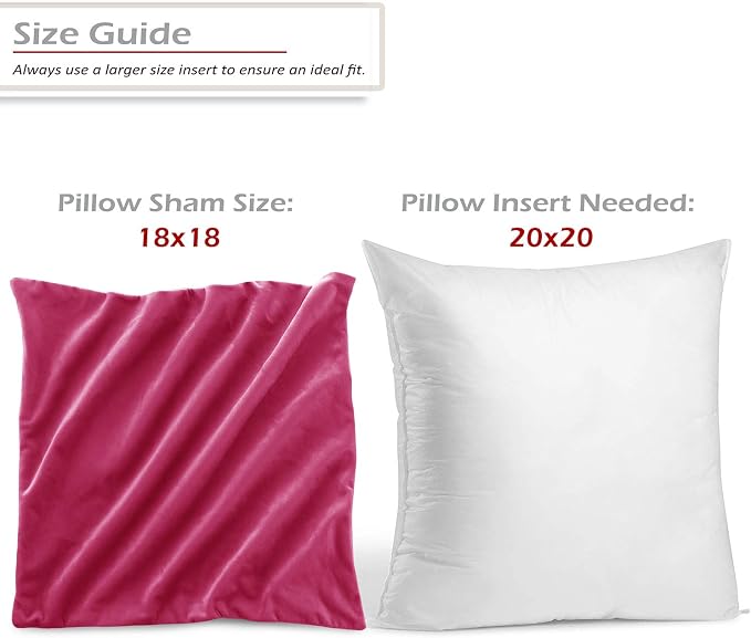 Throw Pillow Inserts Pack of 2 with Velvet Soft Solid Decorative Square Throw Pillow Covers Set for Sofa Couch Car Bedroom, 20X20 Throw Pillows Inserts with 18x18 Washable Cushion Covers, Hot pink