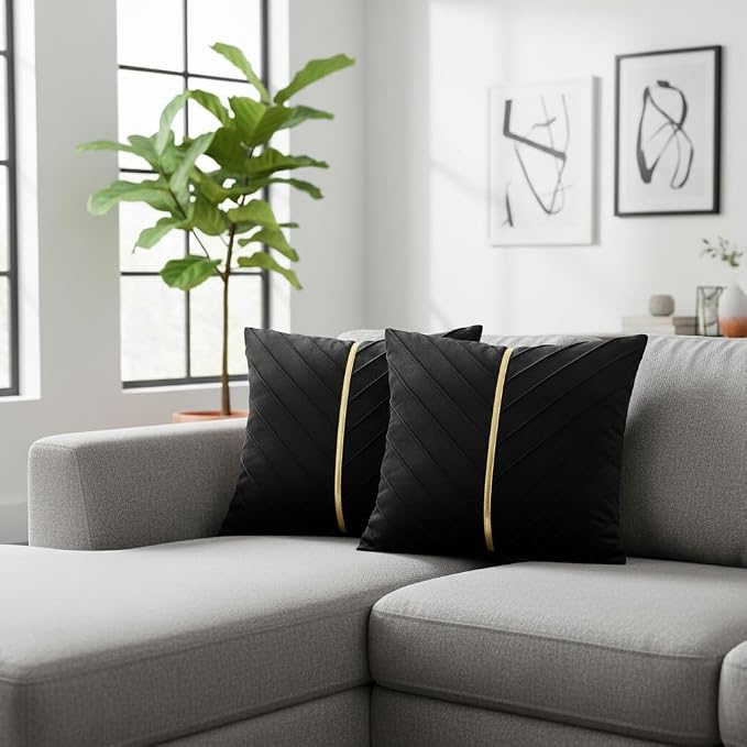 Velvet Throw Pillow Covers 20x20 inch Pack of 2 Gold Decor Black | Soft Solid Pillow Covers,Modern Luxury Home Decor,for Couch Chair Sofa Bedroom Livingroom,Hidden Zipper,Ideal Gift,Easy Care