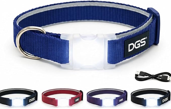Dog Gone Smart Pet Products Super Bright LED All Day & Night Wear Safety Comet Collar Dogs, Adjustable Breathable Strong Nylon, Puppies, Large, Medium, Small