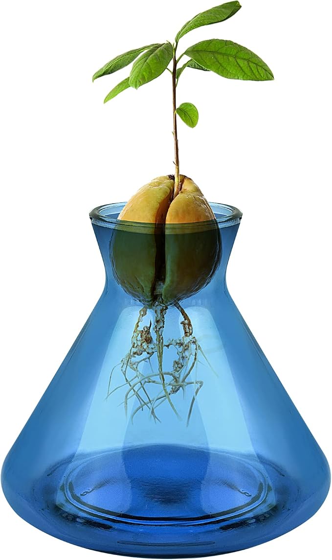 1 PCS Avocado Seed Starter Vases, Avocado Tree Growing Kit Acorn Bulb Vase Grow Glass Avocados Pit Planter Pot Blue Hydroponics Container for Gardening Lover