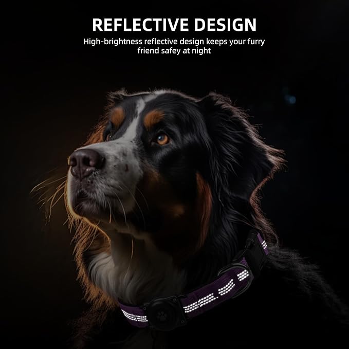 Upgrade Dog Collar with AirTag Holder, IP68 Waterproof, Purple, XL | Built-in Water Resistant AirTag holder, 1000D Nylon, Reflective Stitching for Night Visibility, Soft padding for Comfort