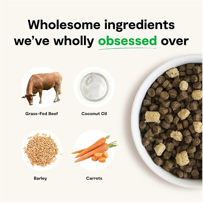 Open Farm RawMix Ancient Grains Dry Dog Food, Front Range Kibble, 20lb Bag | Grass Fed Beef, Pasture Raised Lamb, Humanely Raised Pork, Freeze Dried Raw Chunks, 100% Traceable Ingredients.