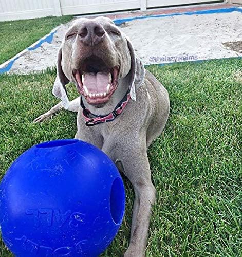 Jolly Pets Teaser Ball Interactive Dog Toy, 10 in XL, Blue