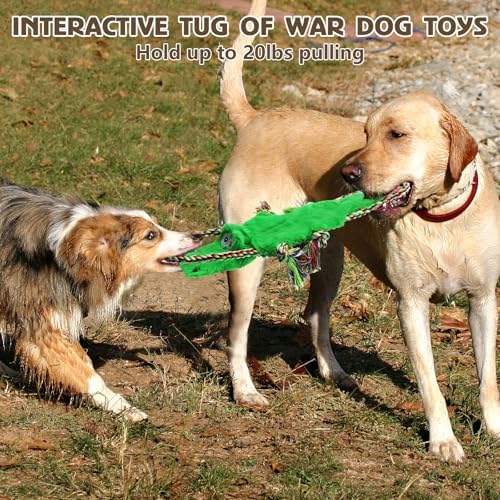 No Stuffing Squeaky Dog Toys, Tug of War Dog Toy with Pull Rope