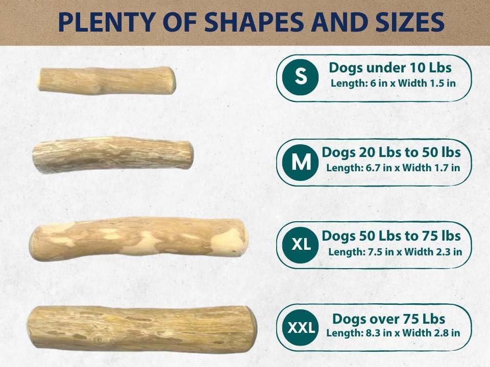 Coffee Wood Dog Chew Stick - Coffee Wood Stick for Your Pets - Non Toxic - Safe - Puppy Chew Toy for Teething - Made in Vietnam - 1 Pack/2 Pieces (Extra Large)