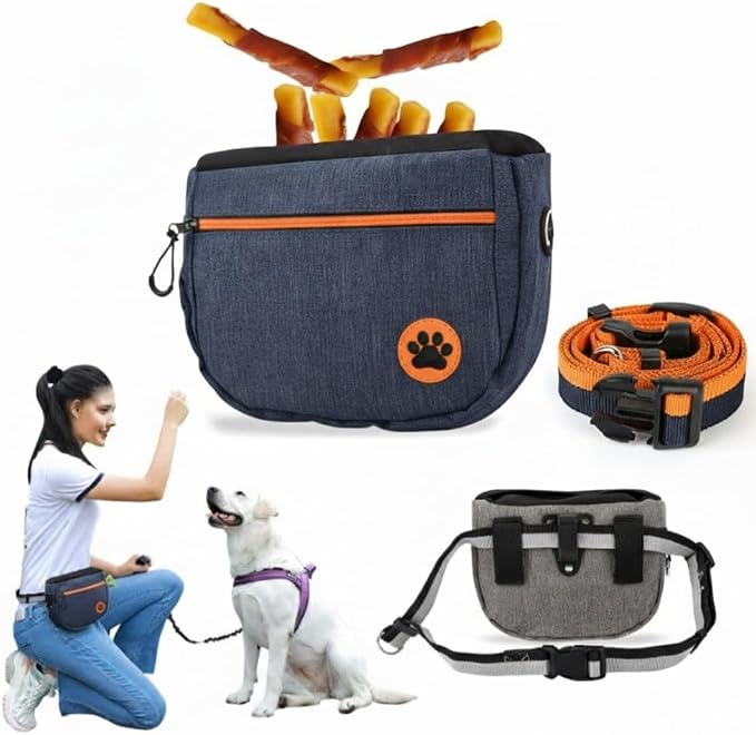 Dog Walking Waist Bag, Gray, Navy Blue, with Bungee Leash, Hands-Free Training Pouch, Treat Storage, Poop Bag Dispenser (Blue)
