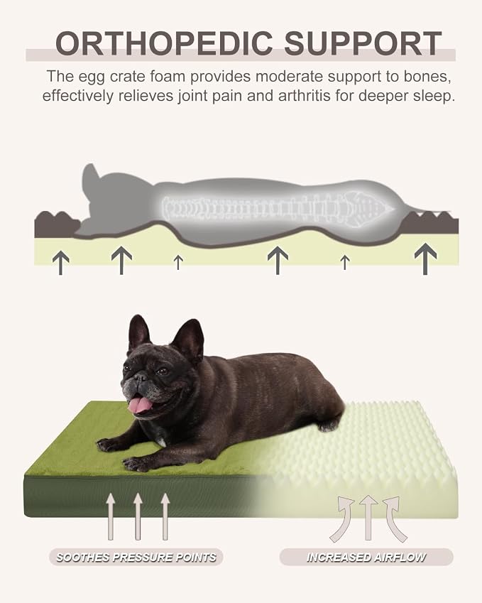 KSIIA Orthopedic Dog Bed for Medium Dogs with Waterproof Lining,Green,29x18 | Deluxe Soft Plush Dog Crate Bed, Washable Pet Mat with Removable Cover & Egg Crate Foam for Medium Dogs Sleeping & Relaxing