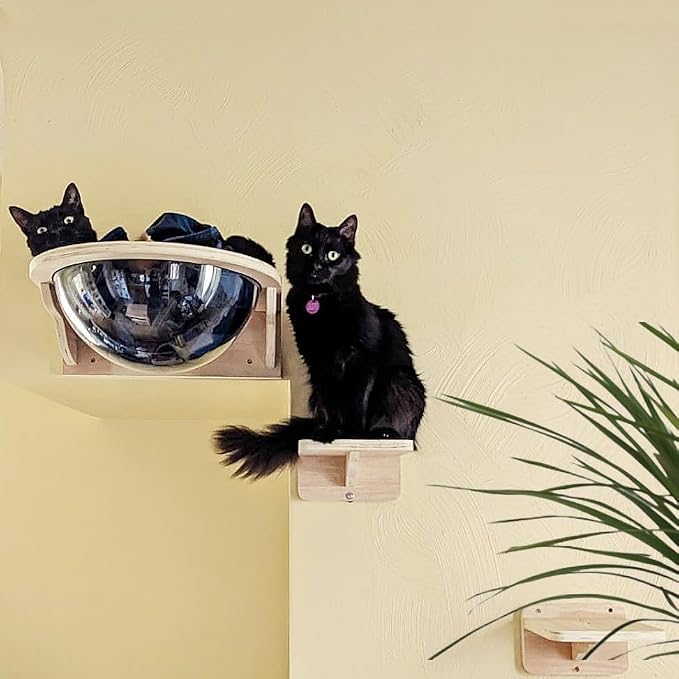 Cat Wall Shelves Wood for Large Cats,Wall Cat Bed Bubble House, Cat Wall Beds Furniture for Indoor Cats Large Size, Cat Perch Transparent Capsule Bed Cat Steps (Capsule Bed Set-1L)